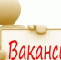 Администрация Васильевского муниципального округа объявляет о приеме документов для участия в заседании кадровой комиссии для рассмотрения вопроса на замещение вакантной должности муниципальной службы. - Васильевский муниципальный округ