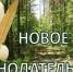 Мелитопольский межрайонный природоохранный прокурор разъясняет об изменениях лесного законодательства.. - Васильевский муниципальный округ